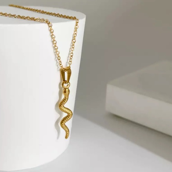 Jewelry - Gold snake necklace